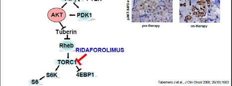 Prostate Ca: Reciprocal Feedback regulation of PI3K and AR Following benefit then progression on AI + mtor inhibitor, ER blockade, PI3K blockade, or both?