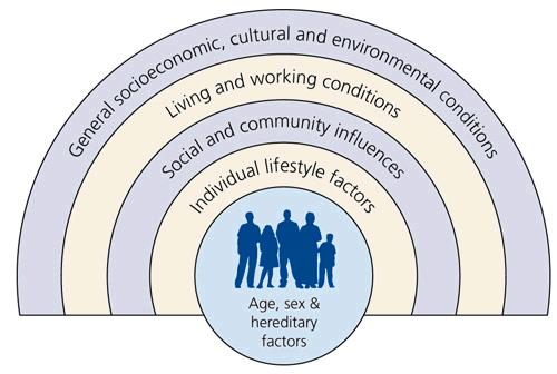 A person-centered approach takes a health system Assess Risk Factors ü Diet ü Physical Activity ü Stress ü Weight ü Social context ü Physical env ü SES ü Access to care ü Out of