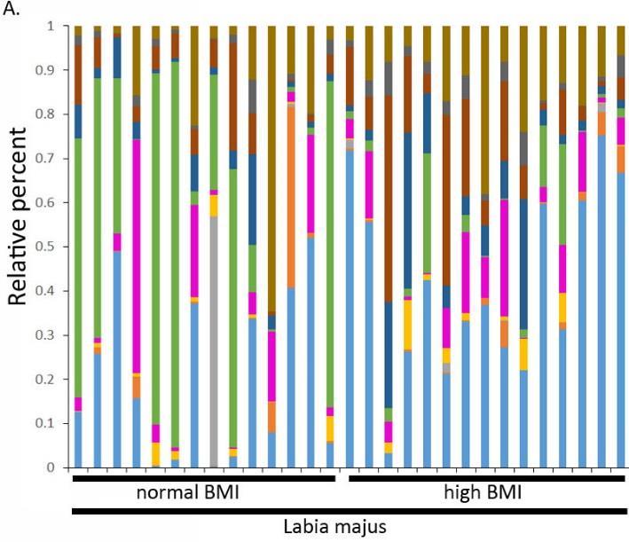 BMI and the Vulva Microbiome Body mass index (BMI) of 18-25 and >30 Table 1.
