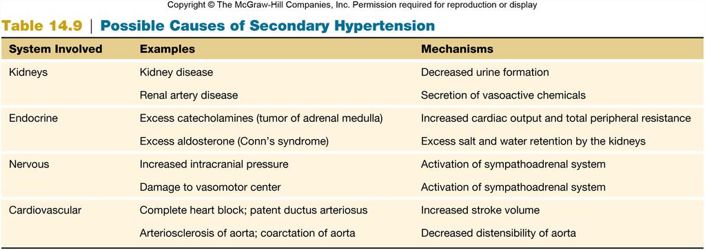 Secondary Hypertension Essential Hypertension Most people fall in this category.