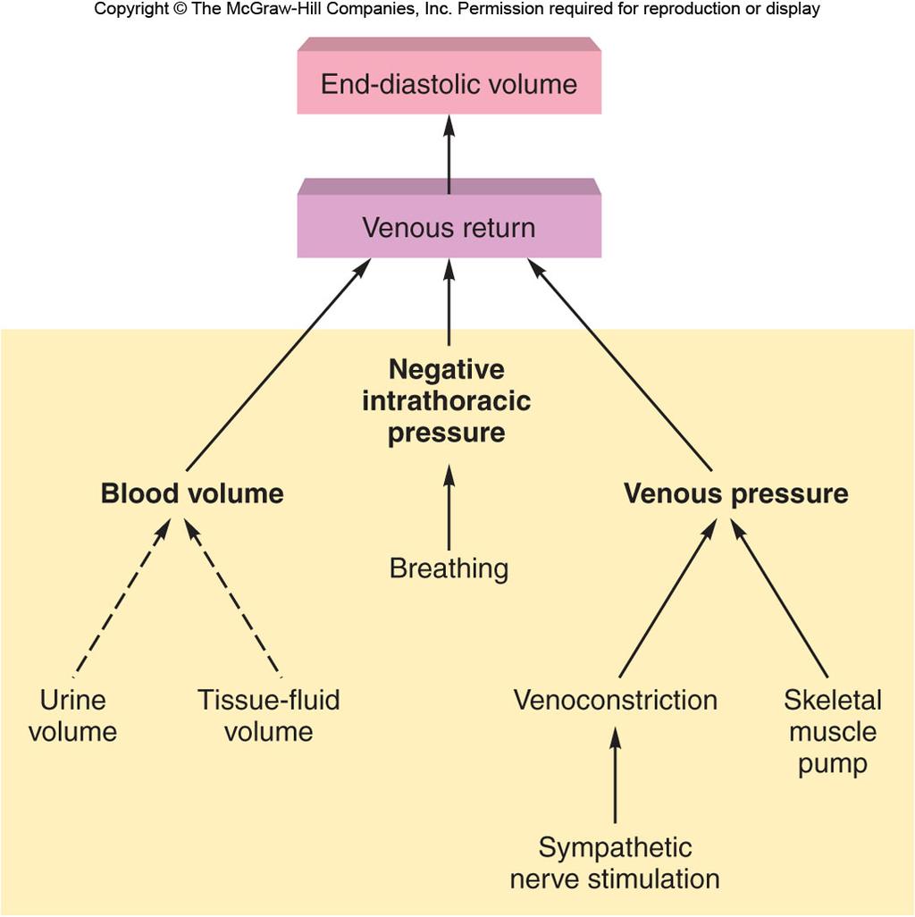 Highest pressure in venules vs. lowest pressure in veins closest to heart 2.
