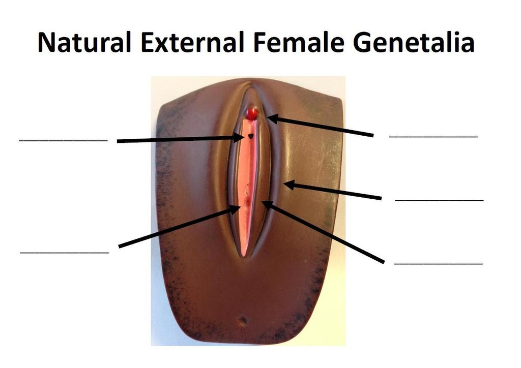 Female Genital Mutilatin (FGM) Schls Resurce Pack Materials