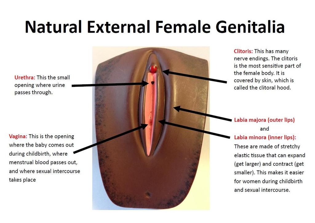 Female Genital Mutilatin (FGM) Schls Resurce