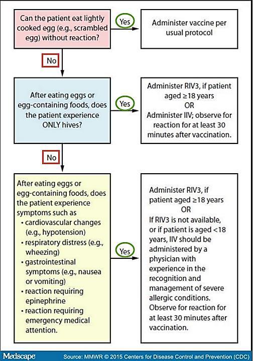 Vaccination of Persons with a History of Egg Allergy Persons with a history of egg allergy who have experienced only hives after exposure to egg should receive flu vaccine A previous severe allergic