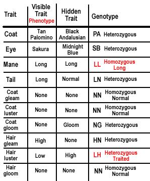 .. [ ] PRACTICE For each GENOTYPE below, indicate whether the following alleles are heterozygous (He) or Homozygous (Ho).