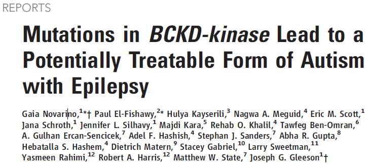 Metabolic error in syndrome of autism, epilepsy, and intellectual disability Mutations identified in the gene BCKDK (Branched Chain Ketoacid