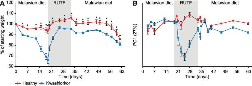 Gut Microbiomes of Malawian Twin Pairs Discordant for Kwashiorkor Weight loss observed in mice that