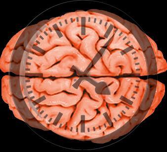 Time IS brain a typical large vessel acute ischemic stroke Each