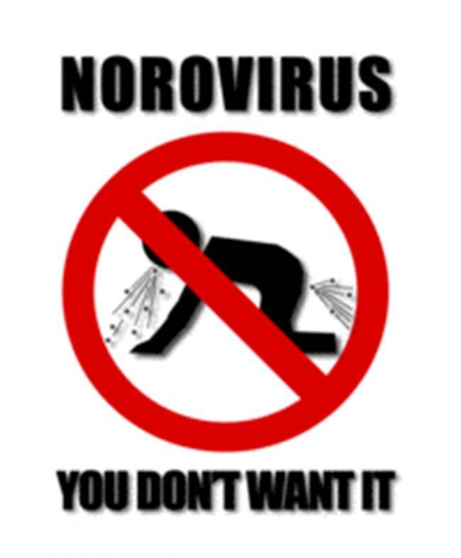 Metro South Public Health Unit Norovirus Dr Bhakti Vasant Public Health Physician Source of image: