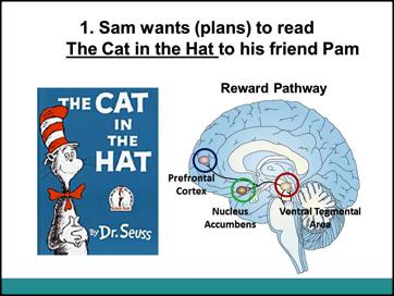 1.DO NOW How do we read The Cat in the Hat? Have the students work in pairs to correctly order the cards that outline the neural steps to reading The Cat in the Hat.