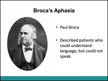 3. Wrap Up Broca s Aphasia Broca s Area Introduce Broca s Aphasia, named after Paul Broca a doctor who described patients who could understand language, but could not speak coherently.