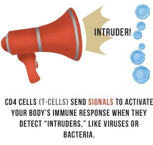 the immune system and send