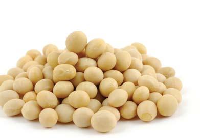 KEY CONSIDERATIONS WITH SOYBEAN HULLS: Source of non-starch polysaccharides (soluble fiber) Low energy ingredient Low bulk density Reduces pig ammonia emissions when included in diet Breakeven