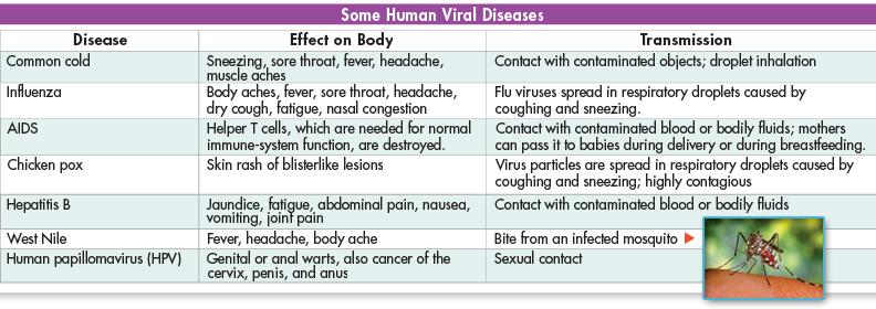 Viral Diseases Viruses also cause disease by 1)