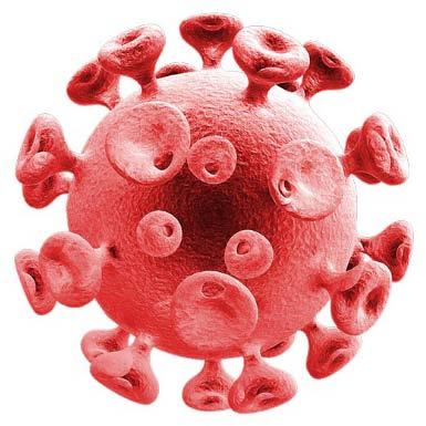 1 Overview Definition of Bloodborne Pathogens
