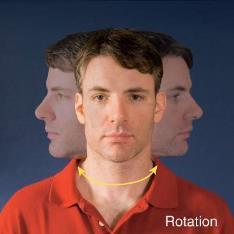 Rotation circular movement in which bone moves around