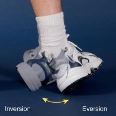Move in all planes Inversion elevation