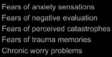 Phobia OCD PTSD GAD Fears of anxiety sensations