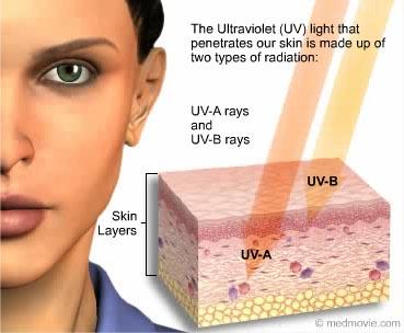 UVB rays reach the the epidermis