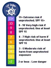 UV Index: Provides information about the risk of