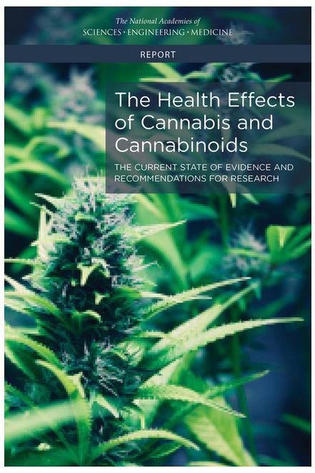 Cannabis Use and Health Risks Respiratory diseases Many of the same cancer-causing chemicals as tobacco smoke Chronic bronchitis Mental health Development of schizophrenia or other psychoses