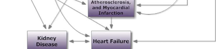 Cardiology.