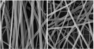 Collagen fibers Interwoven strands of collagen