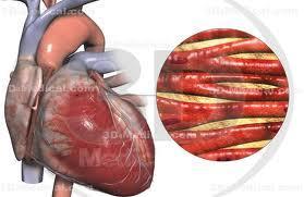 When the heart contracts, its internal chambers become smaller, forcing the blood into the large arteries leaving the