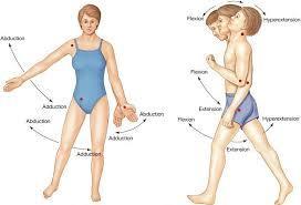 Types of Muscle Movement Abduction Pulls a limb away from the midline of the body.