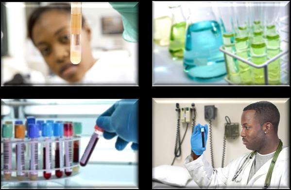 Minimum Standards for Laboratories in