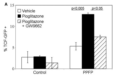 PPFP induces a subpopulation of Wnt/TCF-activated cells And pioglitazone further