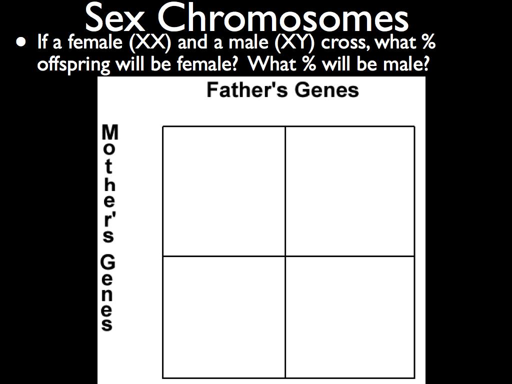 Sex Chromosomes Human cells carry one pair of sex chromosomes We have two types of sex