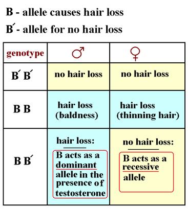 of alleles lead to different