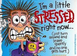 WHAT IS STRESS STRESS IS A PHYSICAL RESPONSE: FIGHT OR FLIGHT (FREEZE) - The body thinks it s under attack - Releases hormones and