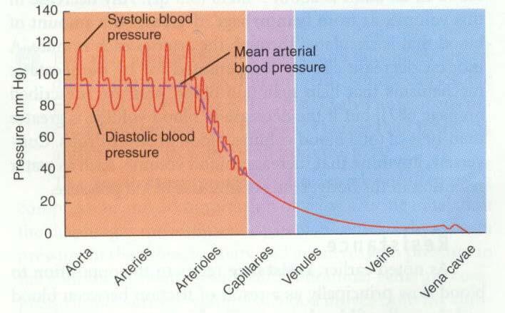 lows a periodic oscillation, pressure going up every time the heart beats, and dropping as the blood is carried away (see Figure 5).