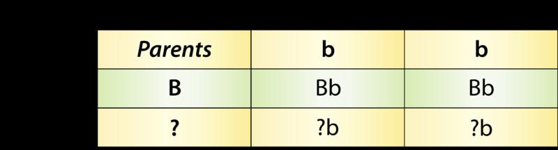 Determining Missing Genotypes A Punnett square can also be used to determine a missing genotype based on the other genotypes involved in a cross.