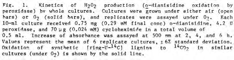 OXIDATION OF LIGNIN BY P. chrysosporium 187 Using whole cultures of P.