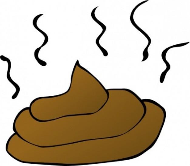 FECES * Undigested food (e.g. fiber) * Water * Common bacterial component is nonpathogenic E.