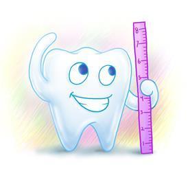 Teeth development