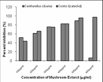 Potential antioxidant activity of some mushrooms 73