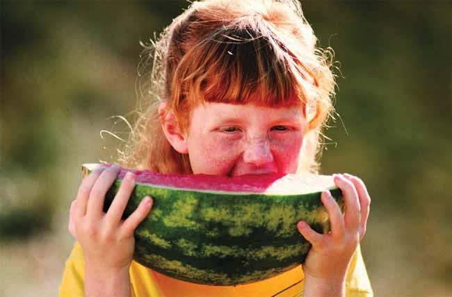 Higher Fruit Consumption Linked With Lower Body Mass Index Biing-Hwan Lin and Rosanna Mentzer Morrison Healthy weight children, both girls and boys, consumed significantly more fruits than overweight