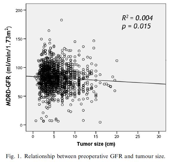 Small tumor size is associated with new-onset chronic kidney disease after radical nephrectomy in patients with renal cell carcinoma.