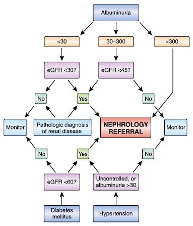 When to get the nephrologist involved Renal characteristics determine the need for nephrology referral in RCC patients.