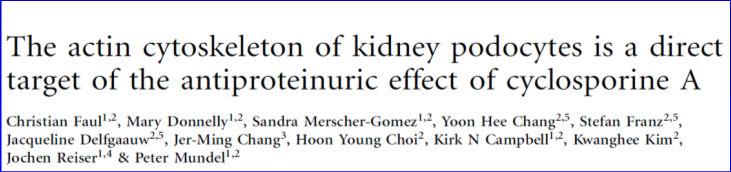 Kidney International 2006 Response to Steroids in Adult FSGS High Dose