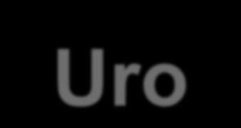 Uro-Assiut 2015 Robotic Nephron