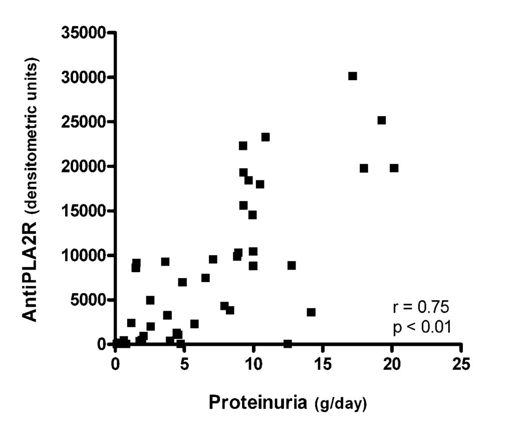 Proteinuria correlates with anti-pla 2 R