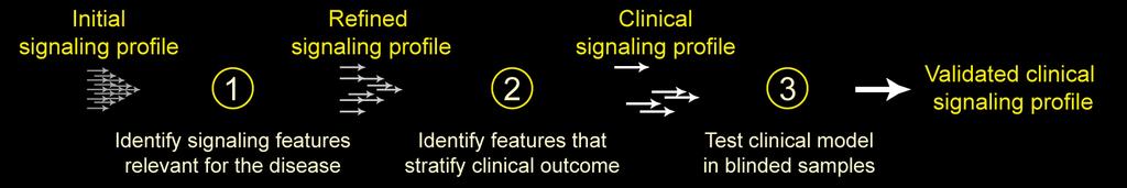 Developing a Clinical Signaling Profile