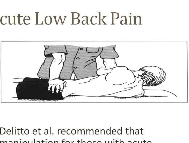 Acute Low Back Pain Delitto et al.
