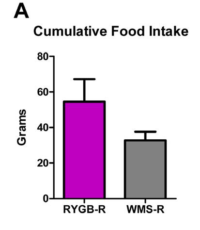 Weight Loss in RYGB-R Mice Despite Increased