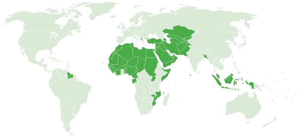 These figures confirm that the Islamic countries is still the first consumer of Halal products